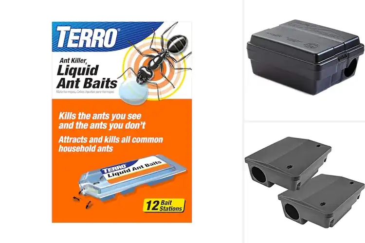 Detailed view of Best Bait Traps