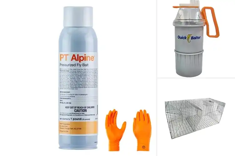 Detailed view of Best Baiting Solutions: Tackle Pests & Boost Fishing Success