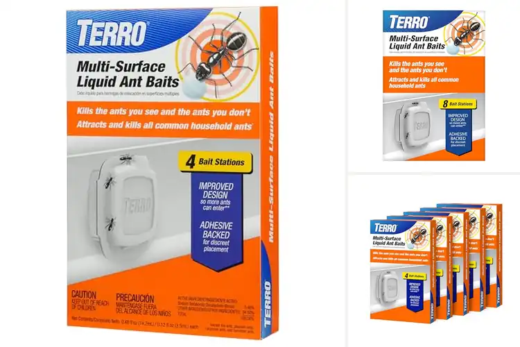 Detailed view of Best Baiting Traps: Top 10 Pest Solutions for a Safe Home