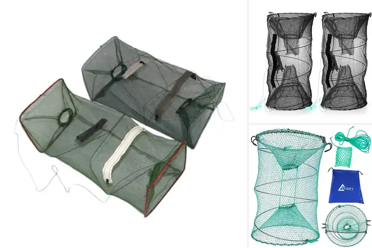 Detailed view of Best Collapsible Traps: Top 10 Picks for Easy Use & Storage