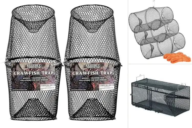 Detailed view of Best Crawfish Traps: Top Picks for Easy & Fun Catching