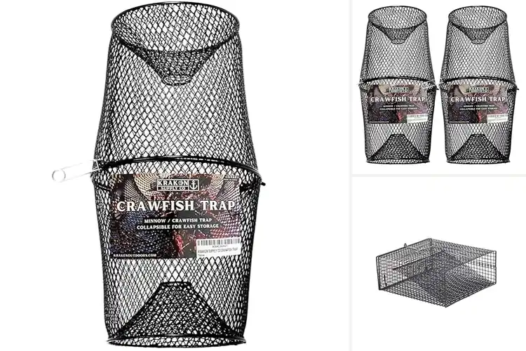 Detailed view of Best Crayfish Traps: Catch More with Less Effort