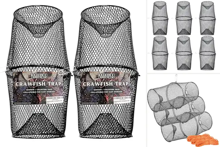 Detailed view of Best Durable Crawfish Traps: Top 10 Picks for Easy Catching