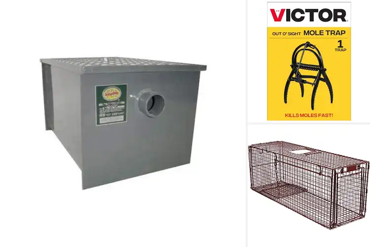Detailed view of Best Durable Steel Traps