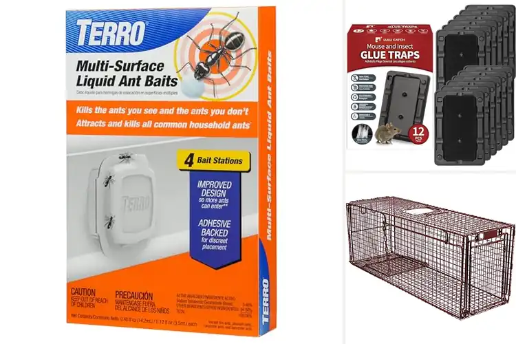 Detailed view of Best Easy Baiting Traps
