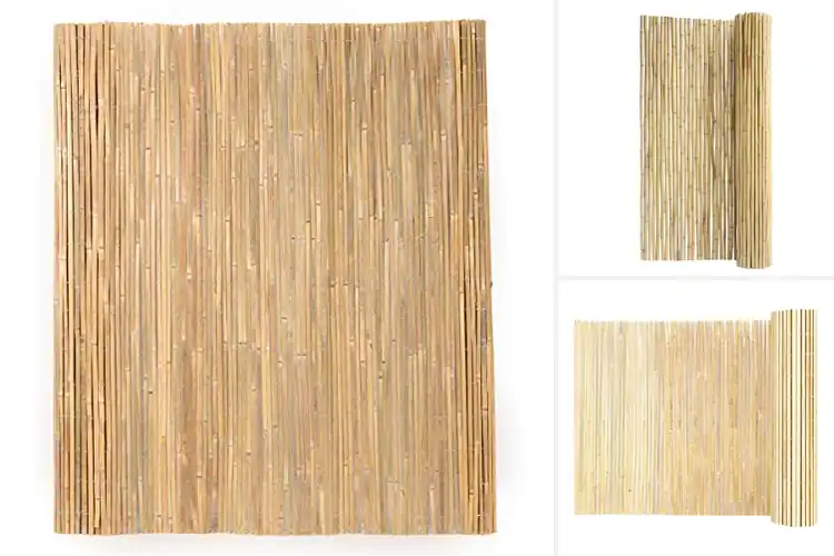 Detailed view of Best Eco-Friendly Privacy Screens
