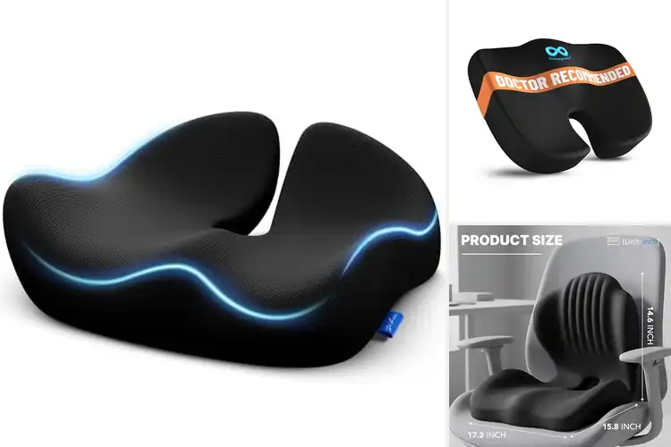 Detailed view of Best Ergonomic Seats