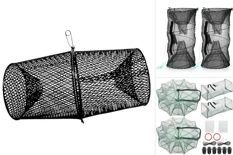 Detailed view of Best Fishing Traps: Top 10 Picks for Effortless Catches