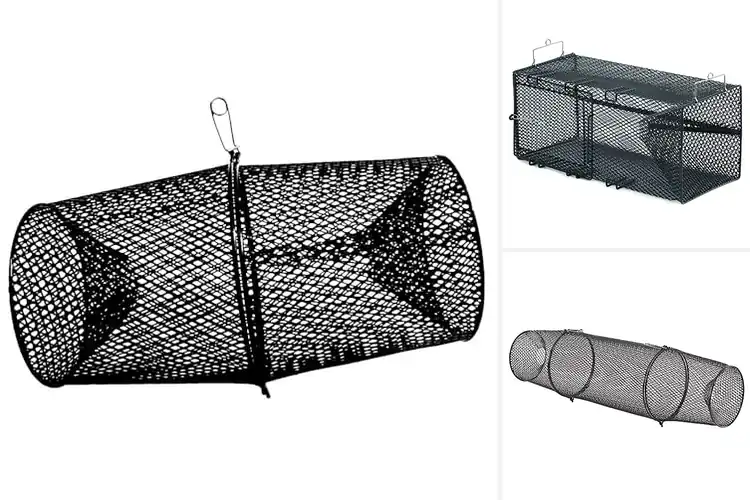 Detailed view of Best Frabill Traps