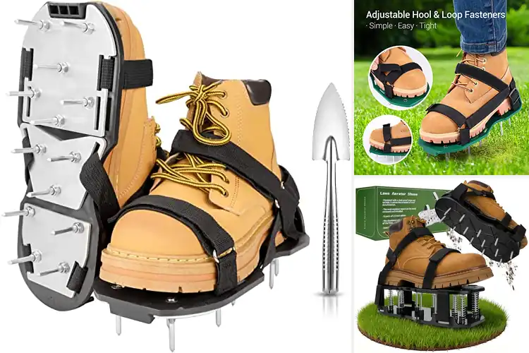 Detailed view of Best Lawn Aeration Shoes: Top 10 Picks for a Greener Lawn