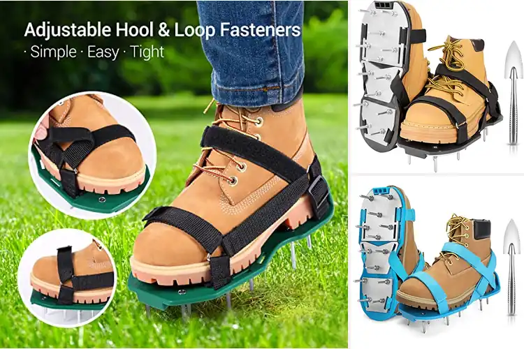 Detailed view of Best Spike Shoes For Lawns
