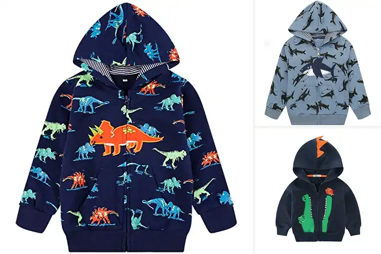 Detailed view of Best Spring Autumn Hoodies: Top 10 Picks for Comfort & Style