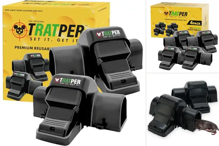 Detailed view of Best Trap Designs: Top Picks for a Safe, Pest-Free Home