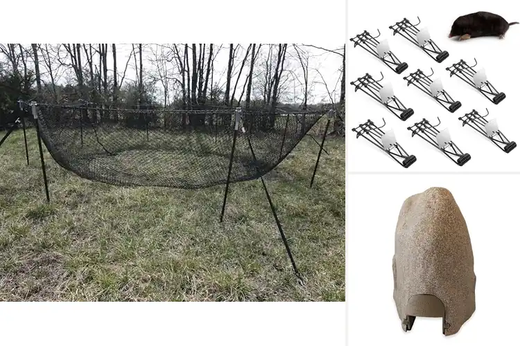 Detailed view of Best Trapping Solutions