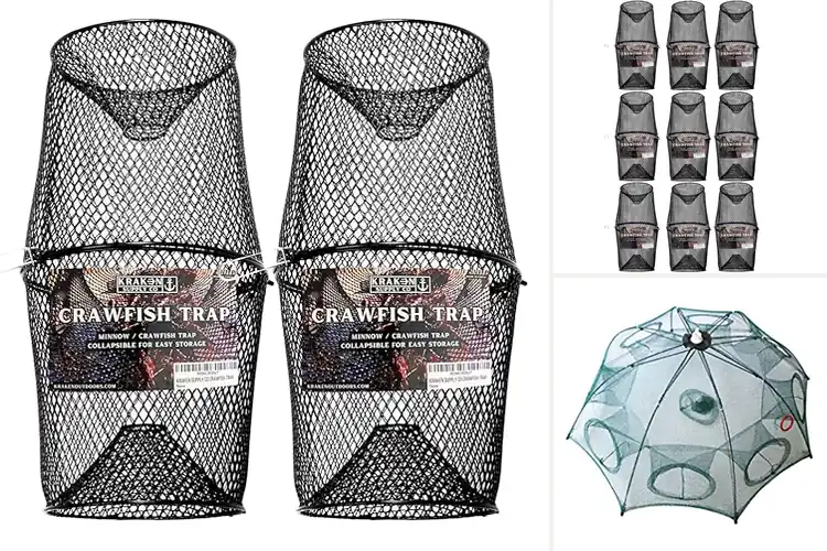 Detailed view of Best Two-Piece Crawfish Traps