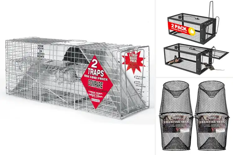 Detailed view of Best Two-Piece Traps: Top 10 Picks for Easy Pest Control