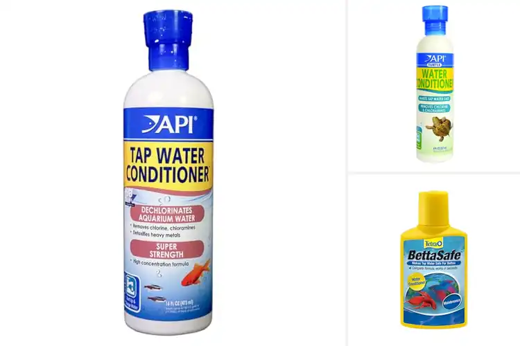 Detailed view of Best Water Conditions